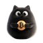 Bitcat