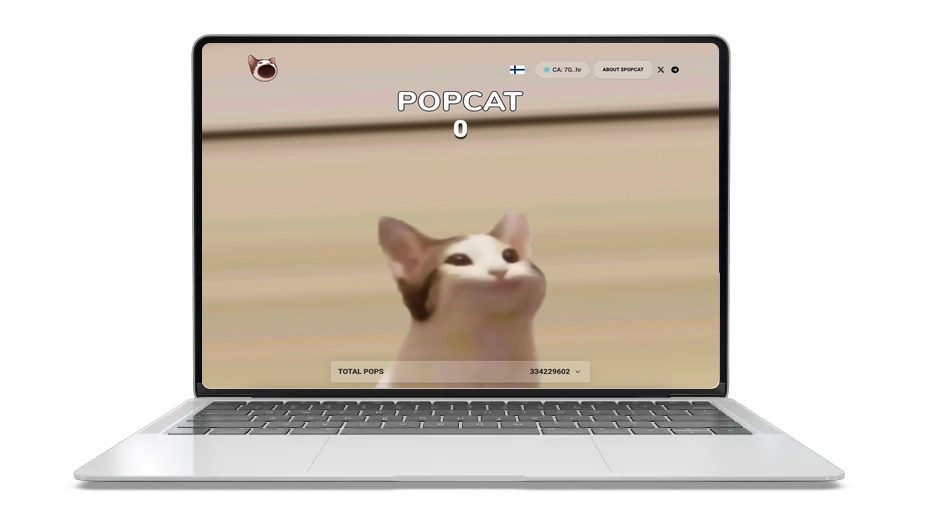 Popcat: The Meme Coin on Solana