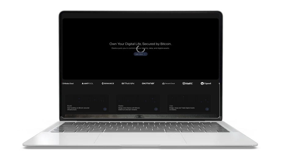 Elastos (ELA): Smart Web Coin for Secure Digital Ownership