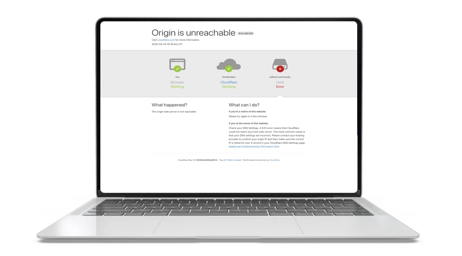 Pitbull (PIT): Community‑Driven Hyper‑Deflationary Meme Coin