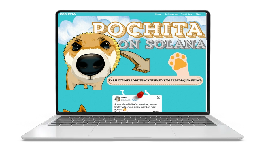 Pochita Token: Fast, Green, DeFi‑Ready Coin