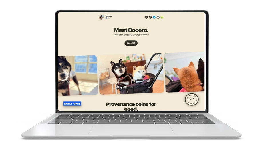 Cocoro: Official Doge-Family Meme Coin on Base