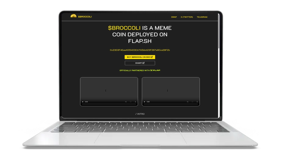 Broccoli (BROCCOLI): Community‑Owned Meme Coin on BNB Chain